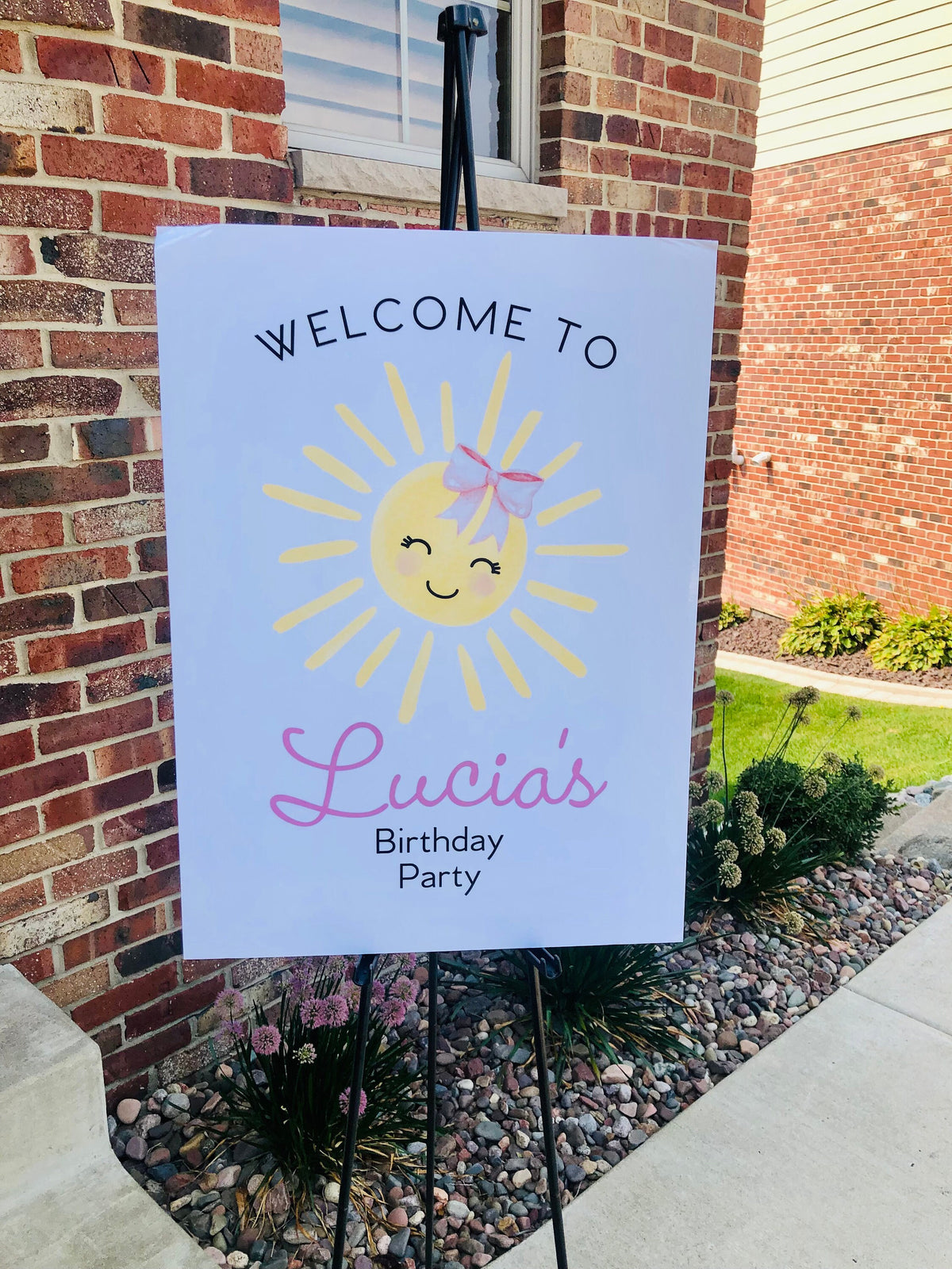 First Trip Around the Sun Birthday Welcome Sign 2