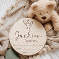 Silly Goose Baby Birth Stats Sign - image 1